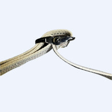 Load image into Gallery viewer, Gait Belt w/ Metal Buckle &amp; 2&quot; Cotton Webbing wheelchairstrap.com