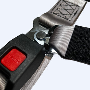 Q'straint Manual Lap & Shoulder Belt Kit - MM WheelchairStrap.com