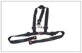Wheelchair Harness Belt | H350222 AMF Bruns