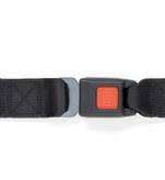 Load image into Gallery viewer, Standard Lap Belt for Series L Track Length: 98" | FE200594 - WheelchairStrap.com